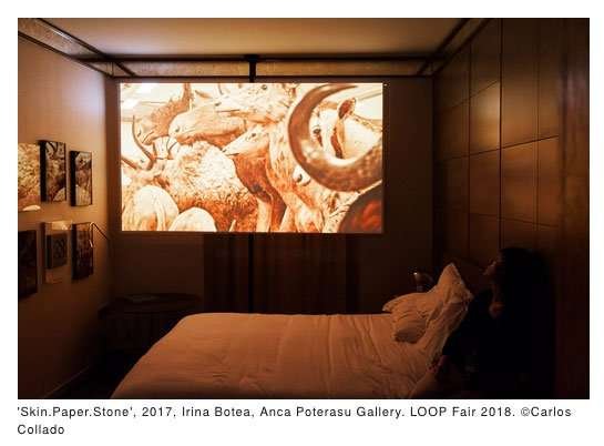 loop festival