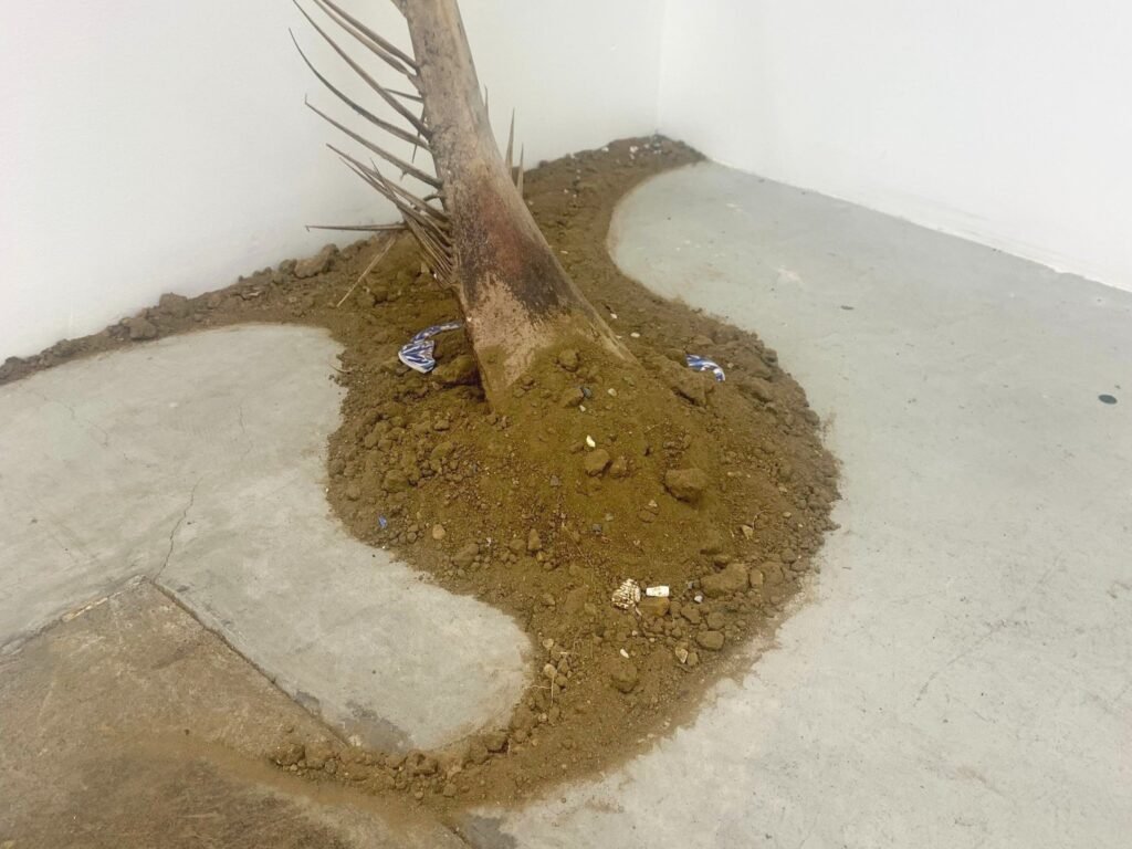 The Birds Sang Until the Sky Broke