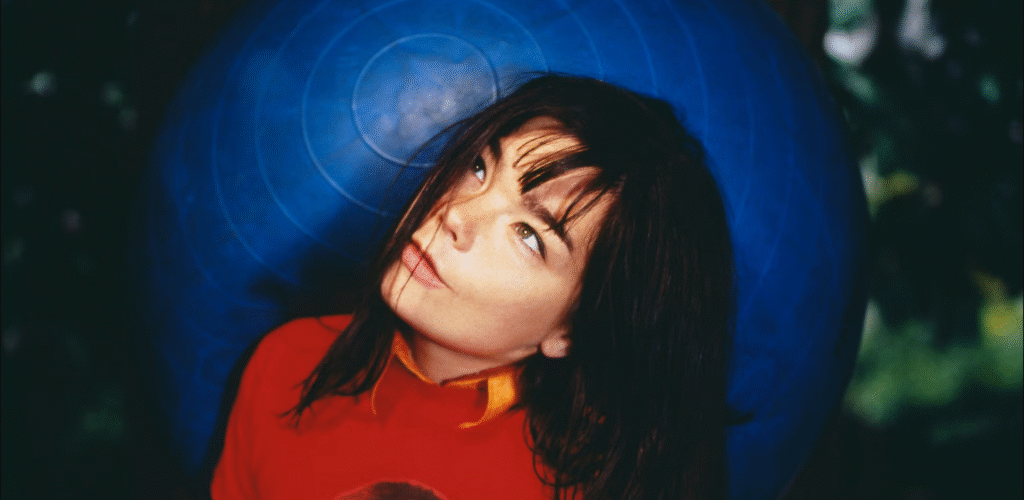 Björk artist ally example