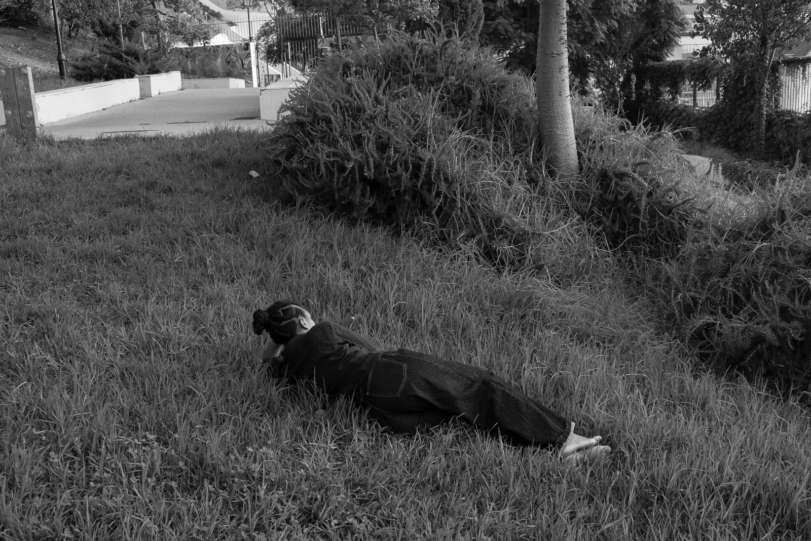 Carla Rebelo exhibition