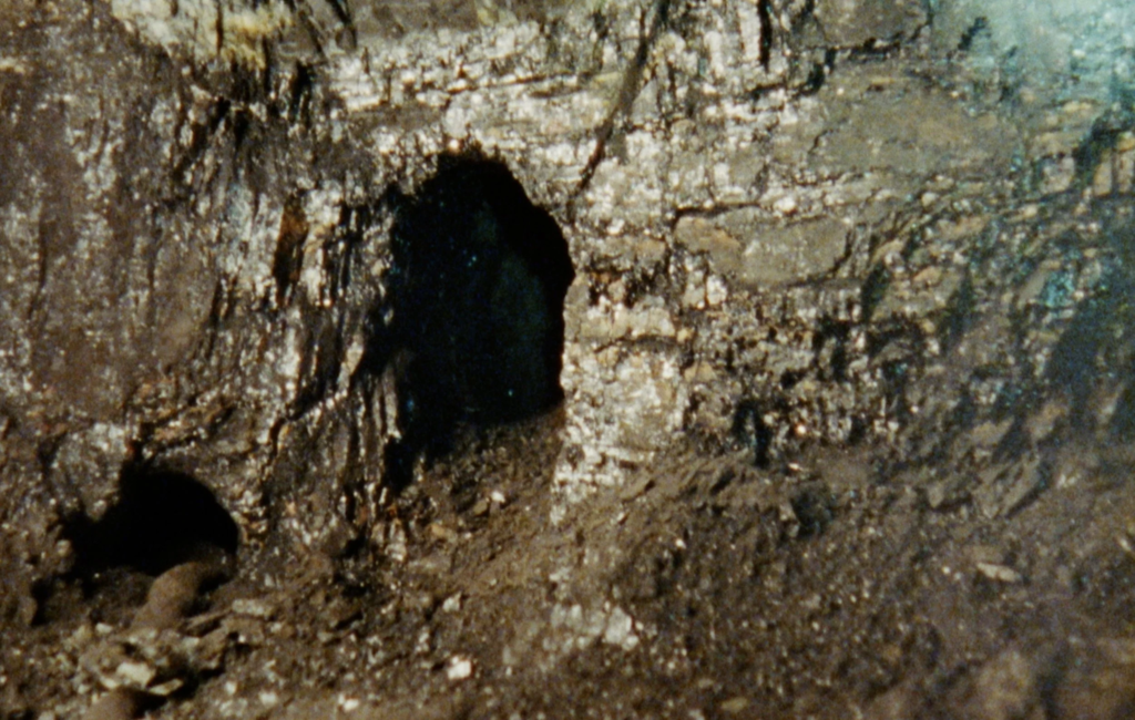 Senyals Sadia Pineda Hameed Barcelona exhibition