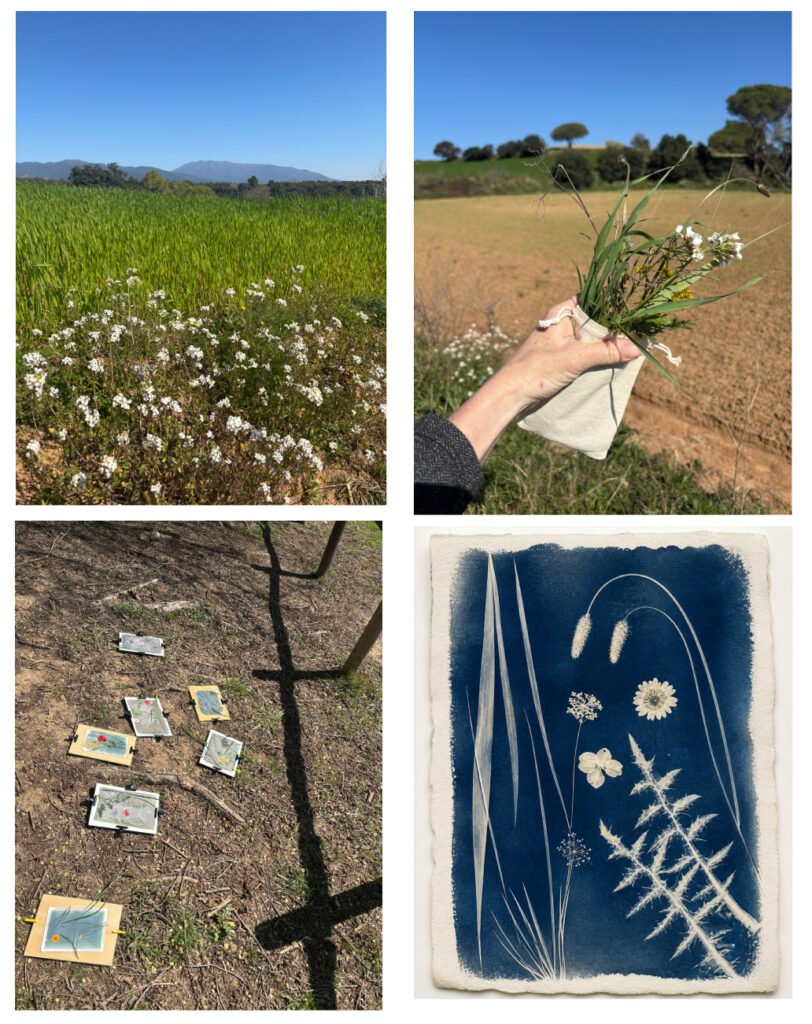 countryside, flowers and a cyanotype artwork during the Made My Dia workshop in Cardedeu